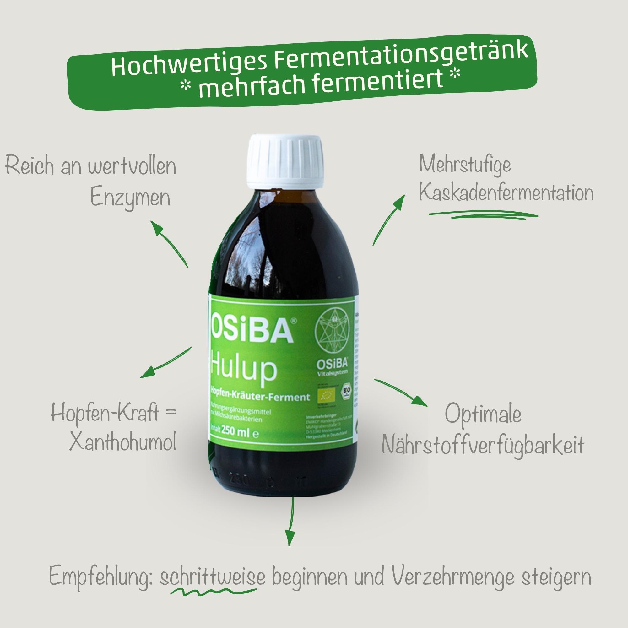 OSiBA Hulup - Bio Fermentationsgetränk enzymreich & mehrfach fermentiert