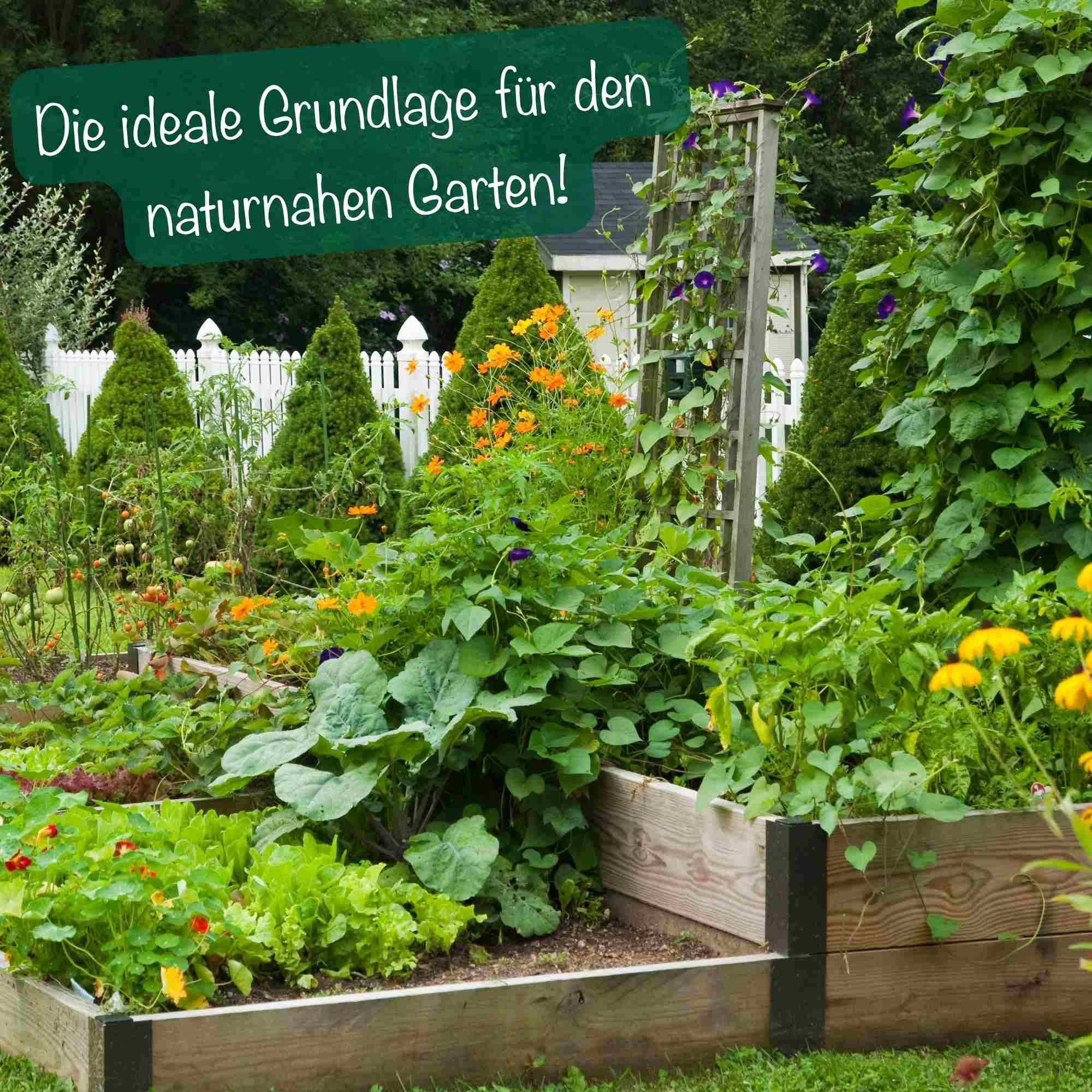 MikroDünger - Flüssiger, organischer NPK-Dünger