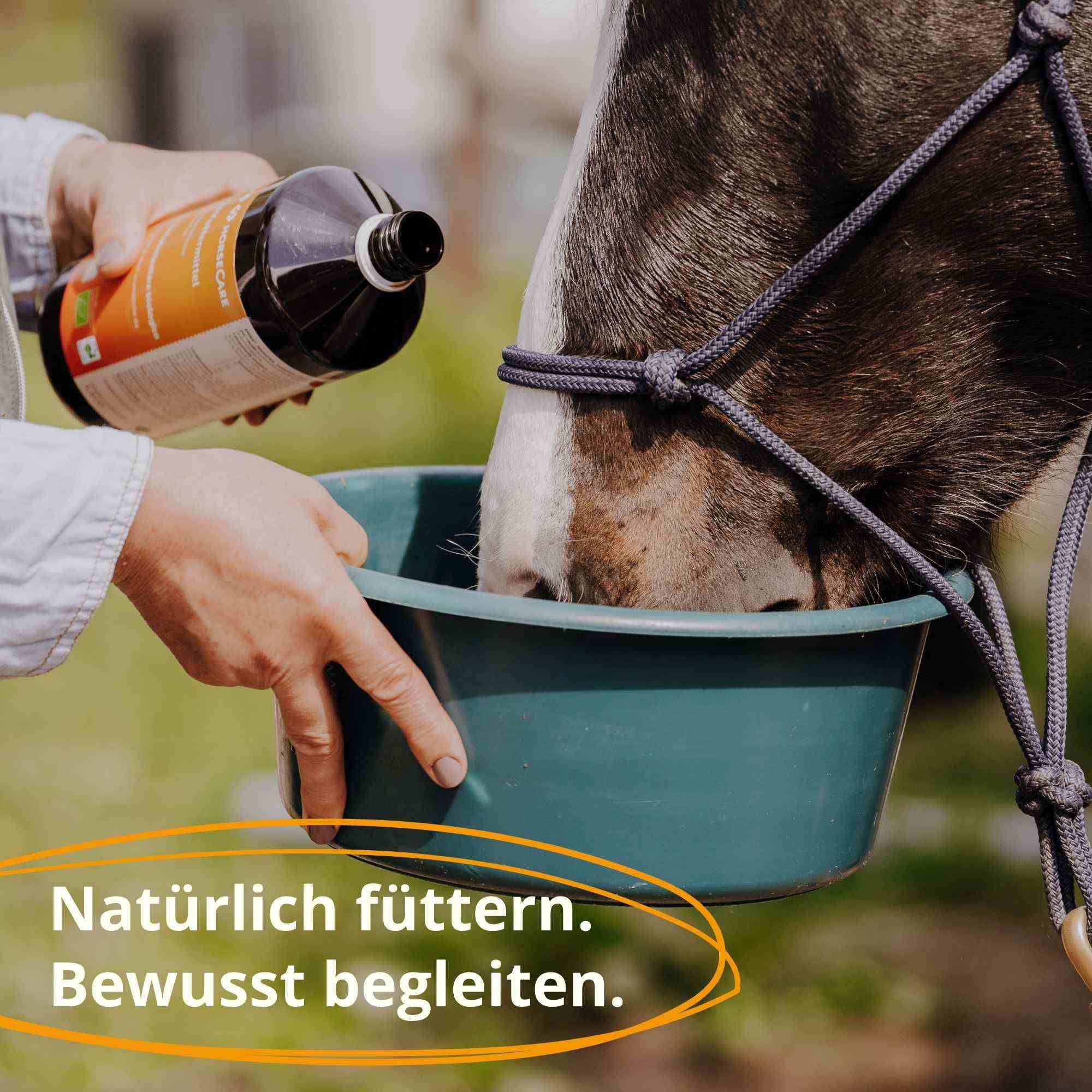 HorseCare Bio Einzelfuttermittel für Pferde - Flüssiges Kräuterferment