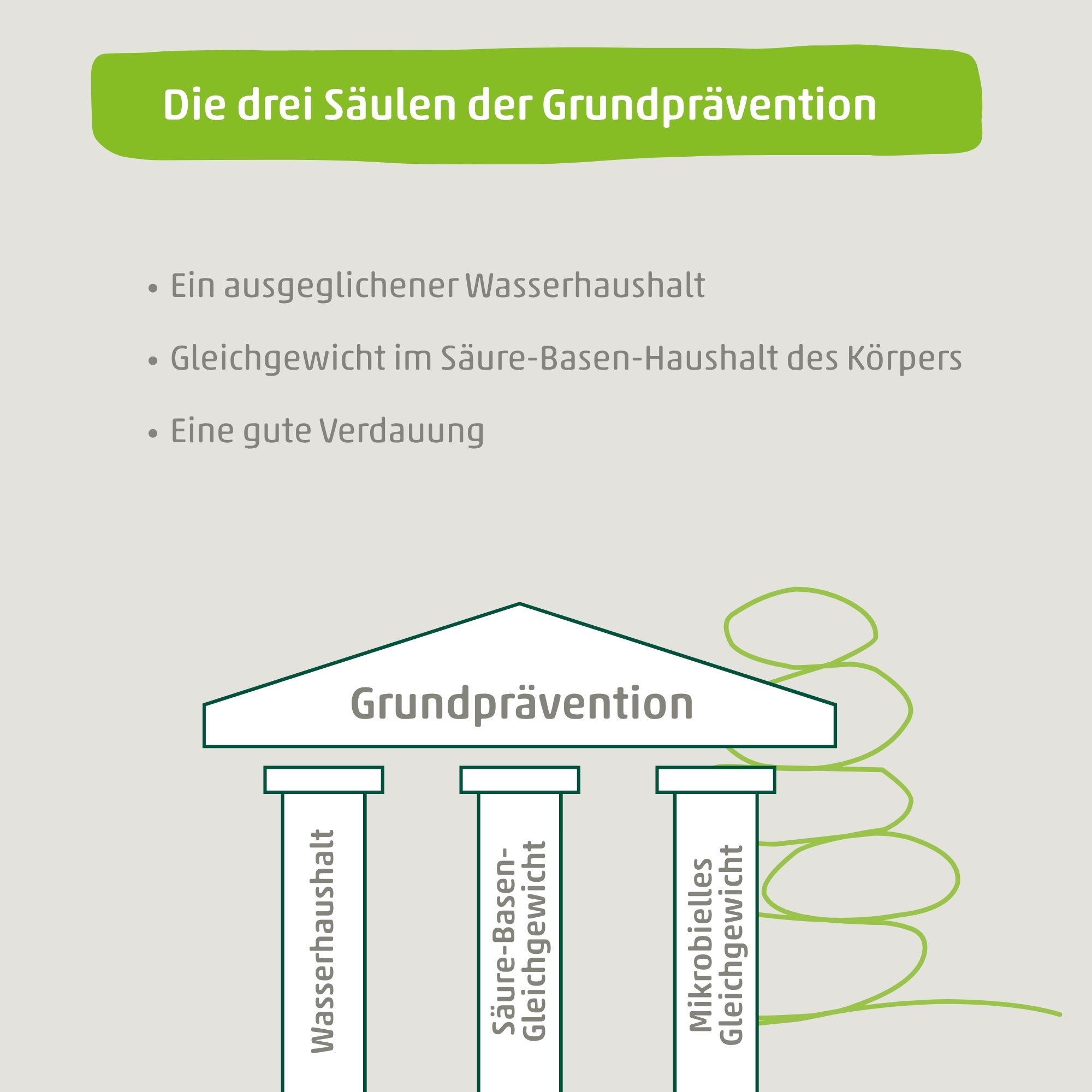 OSiBA Hulup - Bio Fermentationsgetränk enzymreich & mehrfach fermentiert
