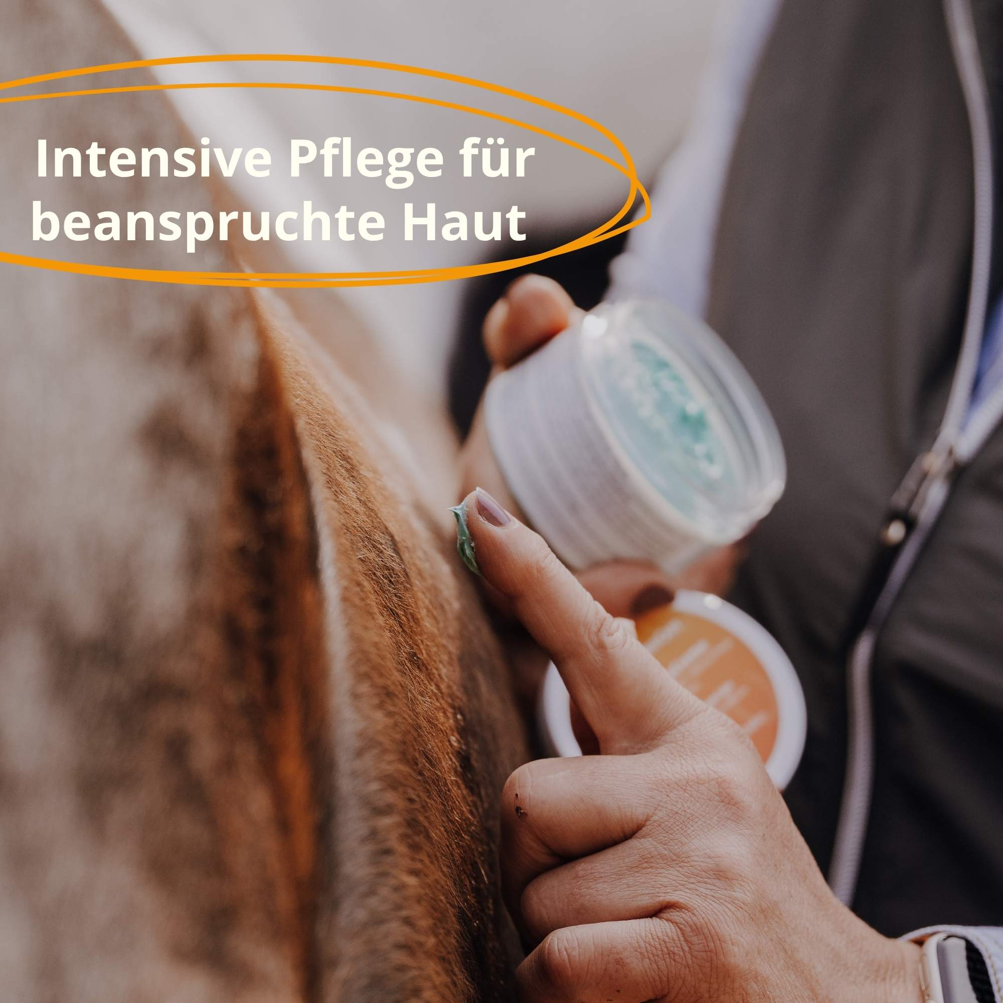HorseCare Spezial PflegeCreme - Intensive Hautpflege für Pferde
