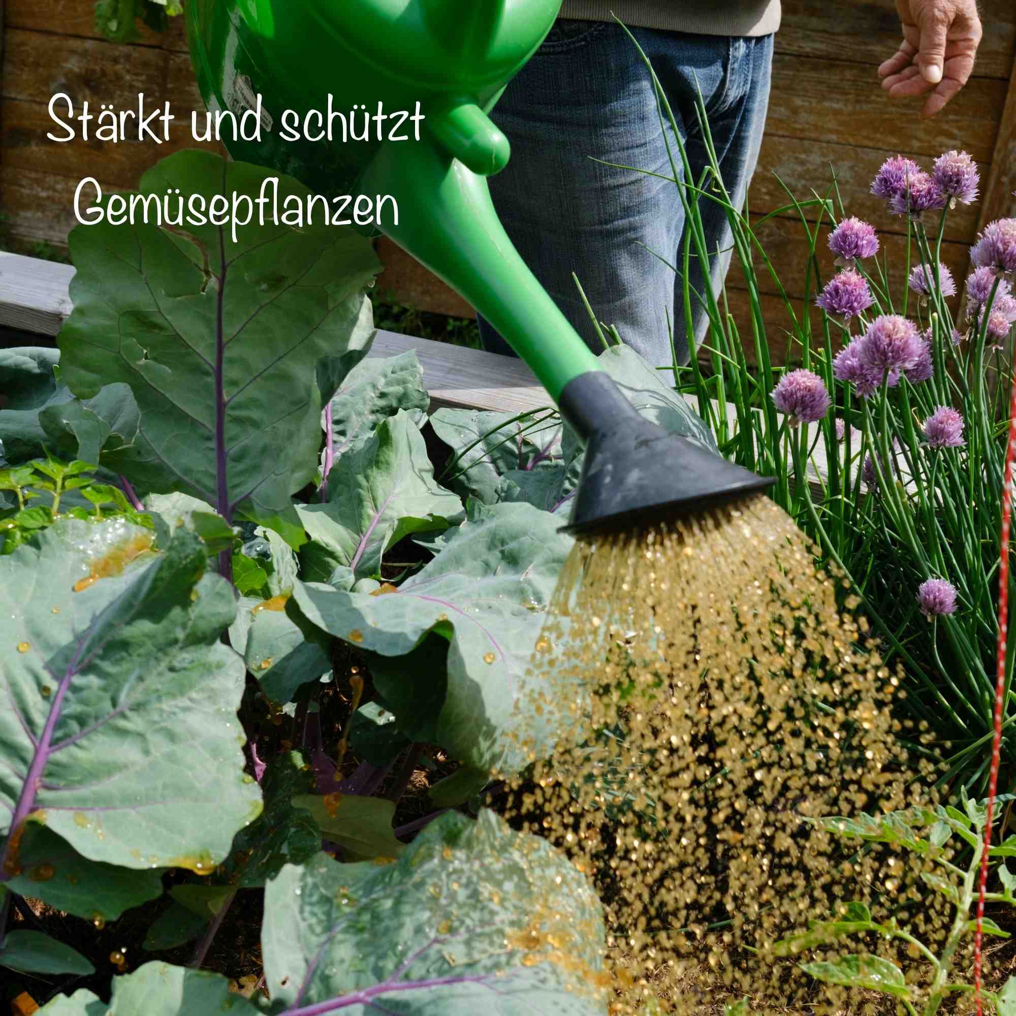 TomatenDünger und GemüseDünger - Flüssiger NPK-Dünger für Starkzehrer
