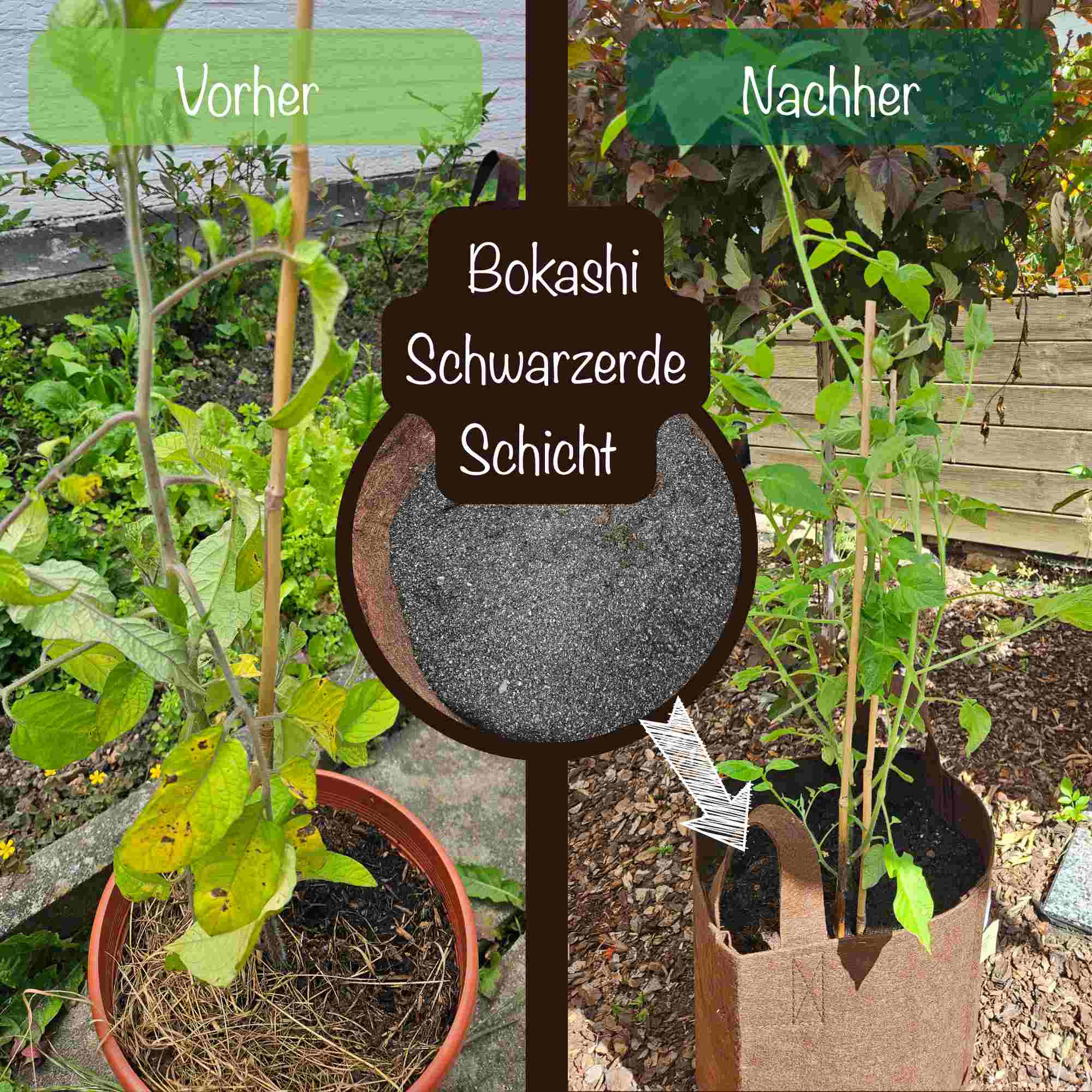 Bokashi Schwarzerde - Fermentierter organischer Dünger mit Terra-Preta-Effekt