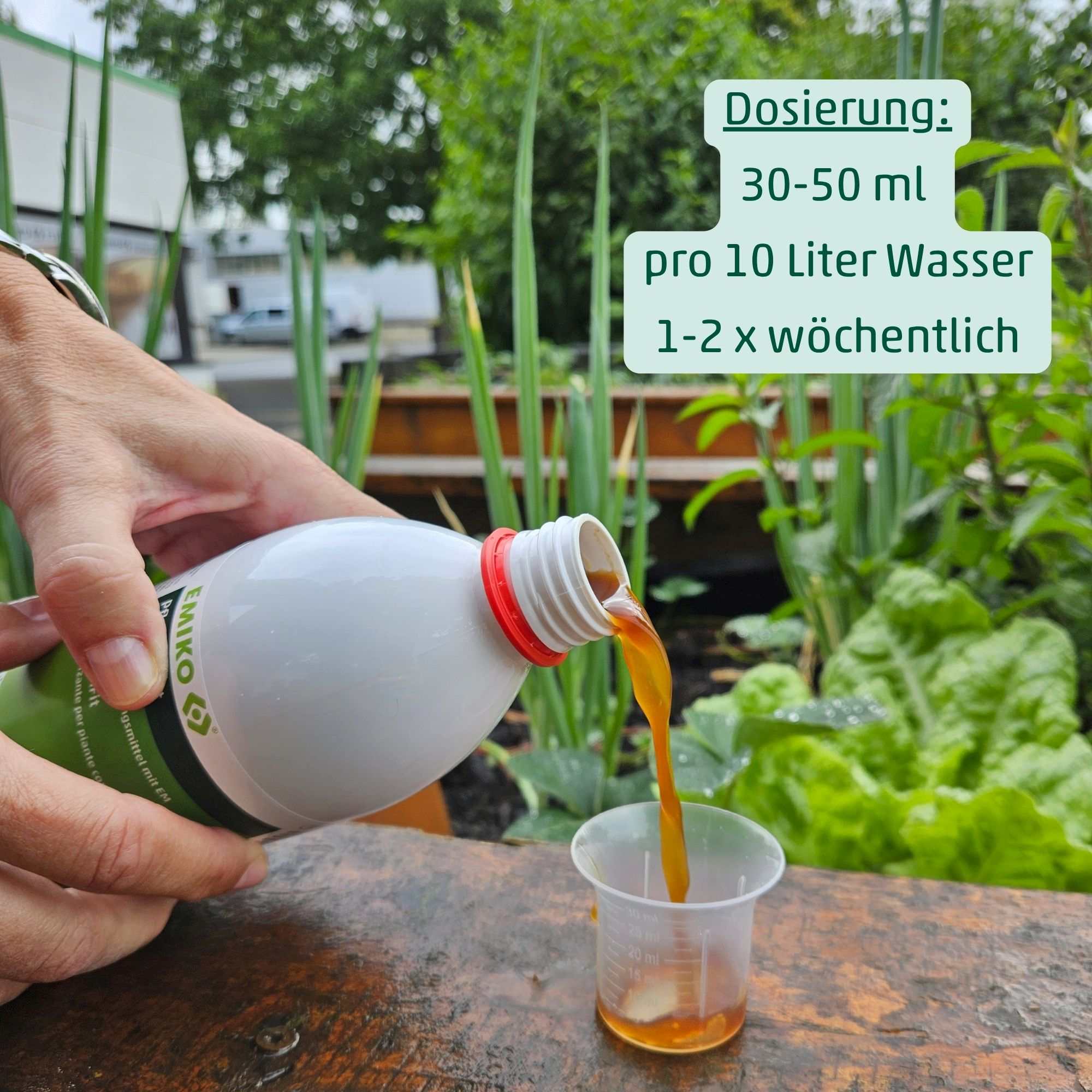 PflanzenFit - Biologisches Pflanzenstärkungsmittel mit EM, Chili & Knoblauch