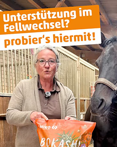 YouTube-EMIKO-Fellwechsel-beim-Pferd-Bokashi