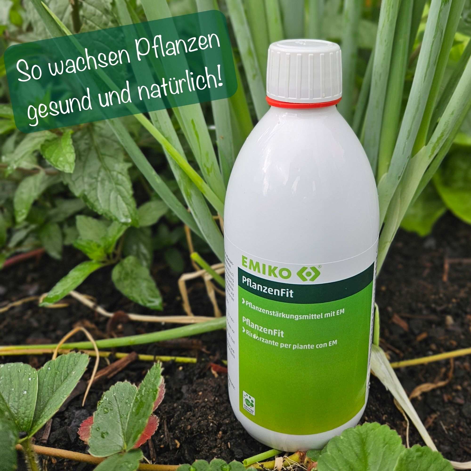 PflanzenFit - Biologisches Pflanzenstärkungsmittel mit EM, Chili & Knoblauch