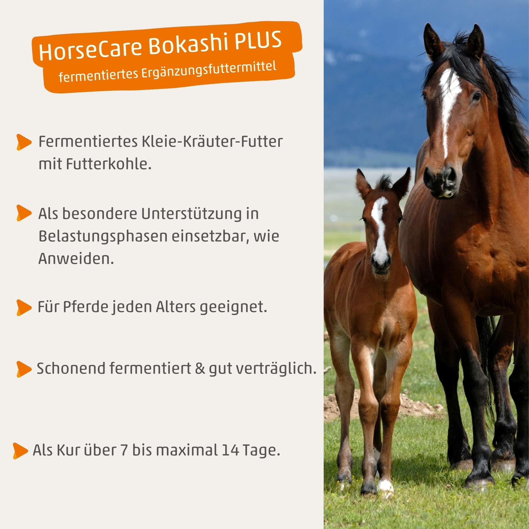 HorseCare Bokashi PLUS - Fermentiertes Ergänzungsfuttermittel