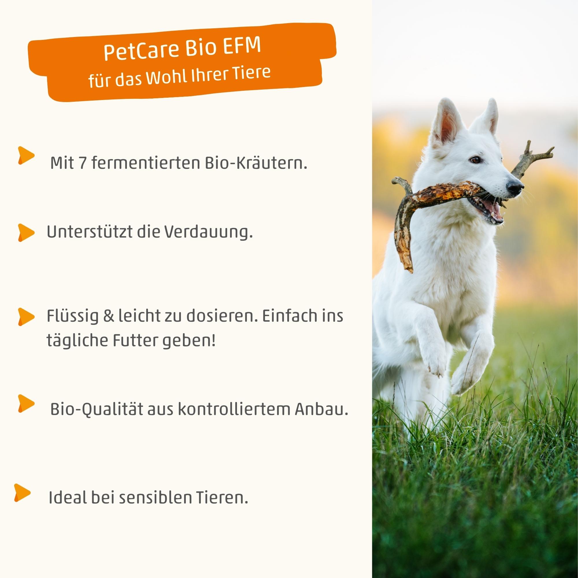 PetCare Bio EFM - Flüssiges Kräuterferment für Hunde, Katzen & Kleintiere