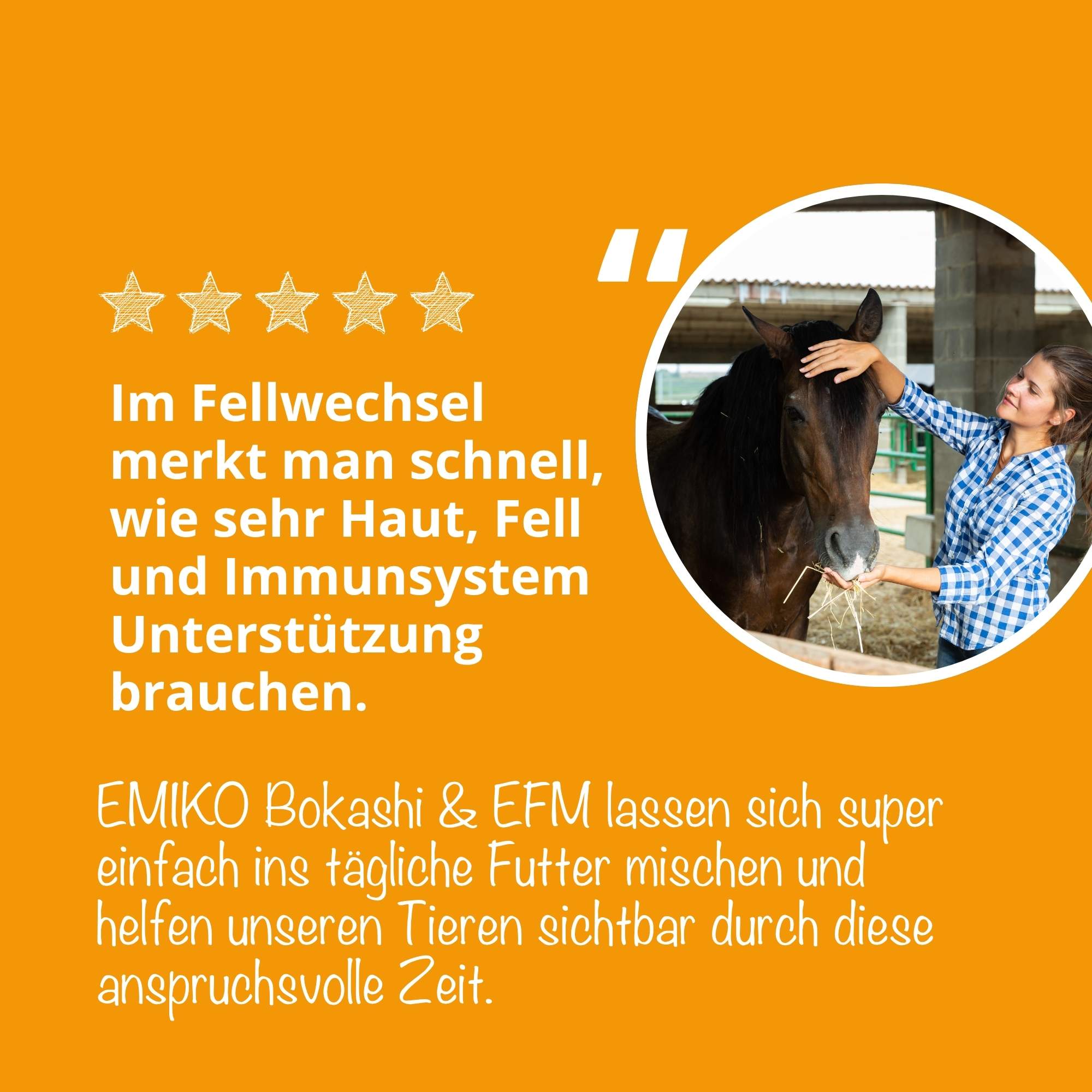 HorseCare Fellwechsel-Paket - Stärkung von Haut, Fell & Stoffwechsel bei Pferden
