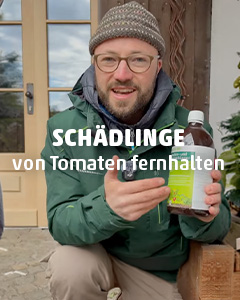 YouTube-EMIKO-Schaedlinge-von-Tomaten-fernhalten