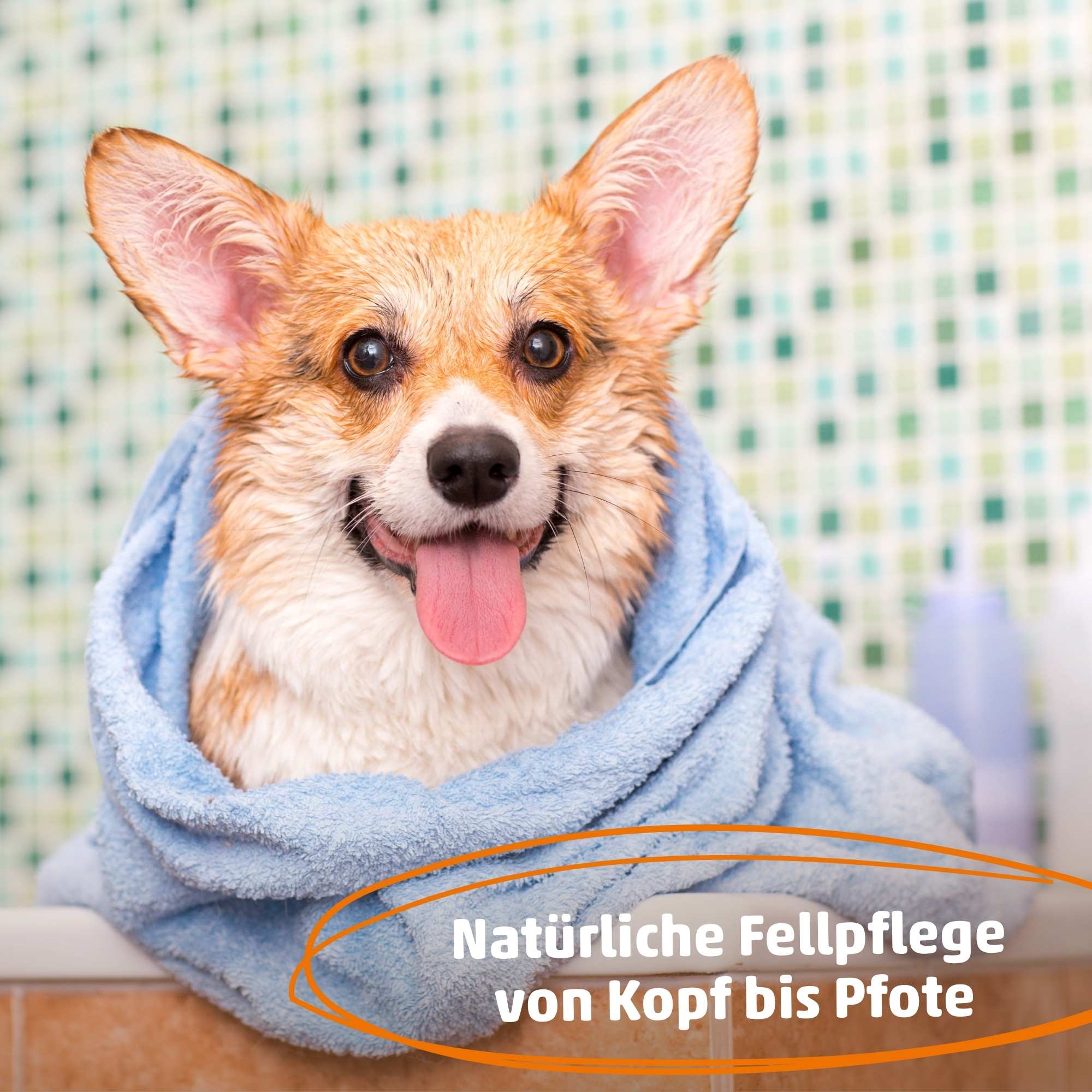 PetCare Fellpflege - Effektive Mikroorganismen für Haut und Fell für Hunde, Katzen & Kleintiere