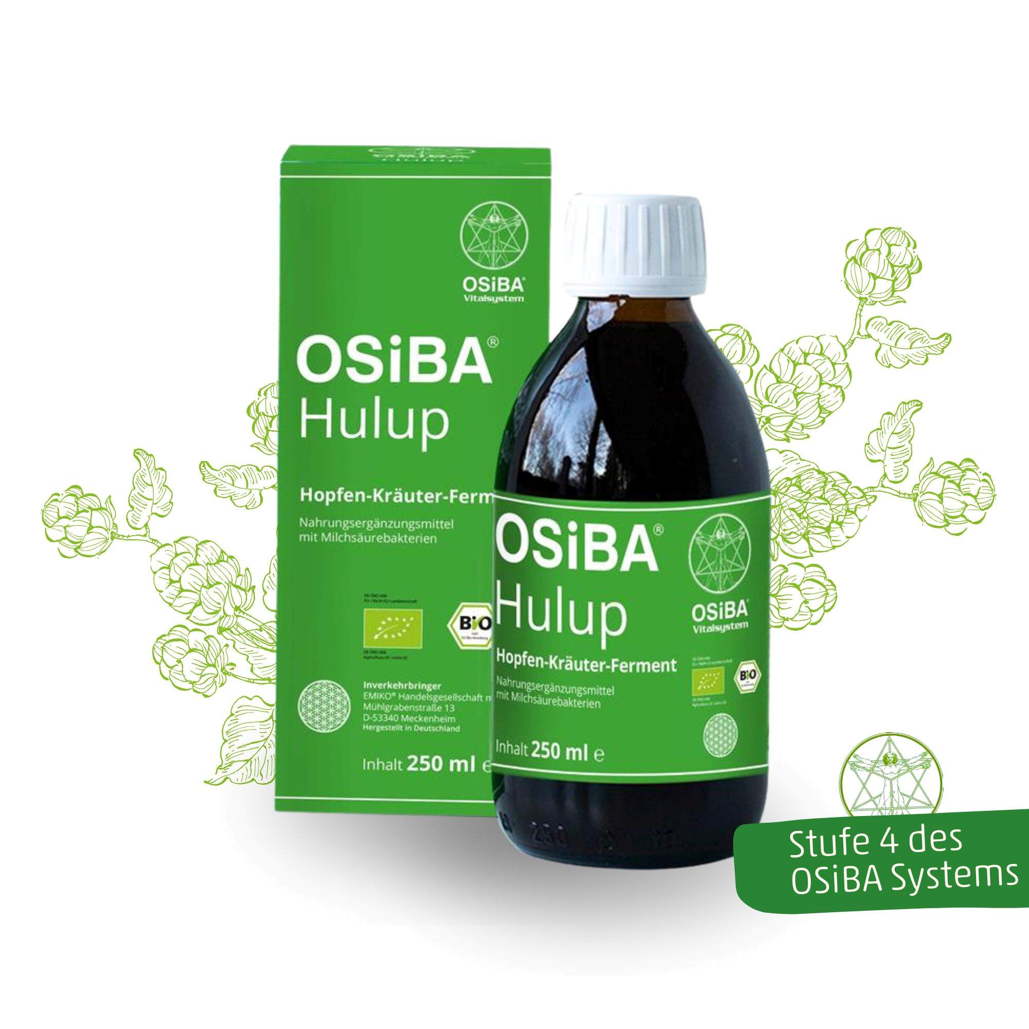 OSiBA Hulup - Bio Fermentationsgetränk enzymreich & mehrfach fermentiert
