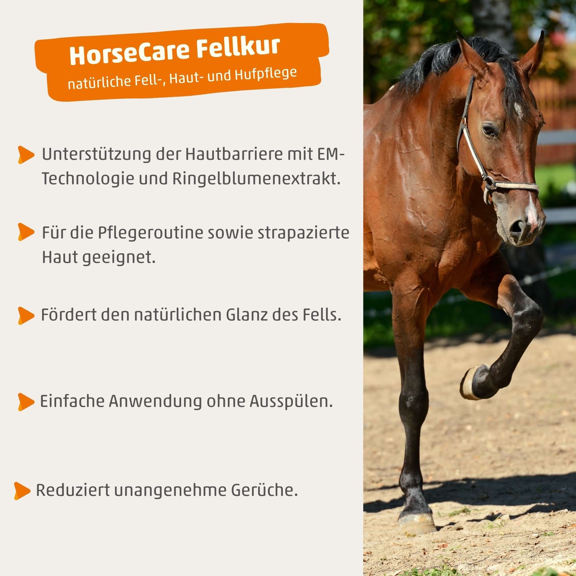 HorseCare Fellkur - Haut- & Fellpflege für Pferde mit Effektiven Mikroorganismen