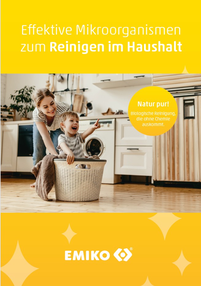 Broschüre Reinigen im Haushalt