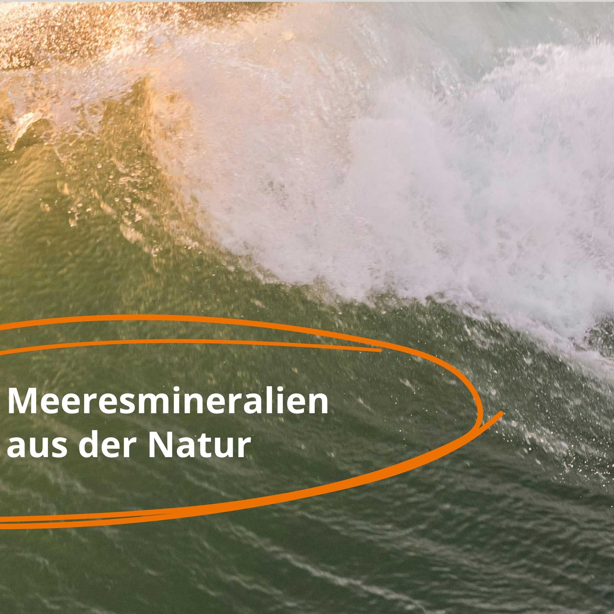 OSiBA Memisil - Flüssige Mineralien, Spurenelemente & Enzyme