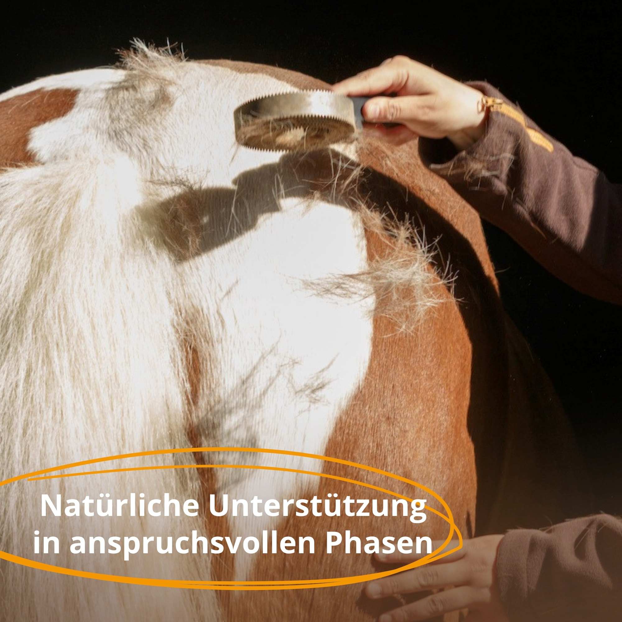 HorseCare Bokashi PLUS - Fermentiertes Ergänzungsfuttermittel