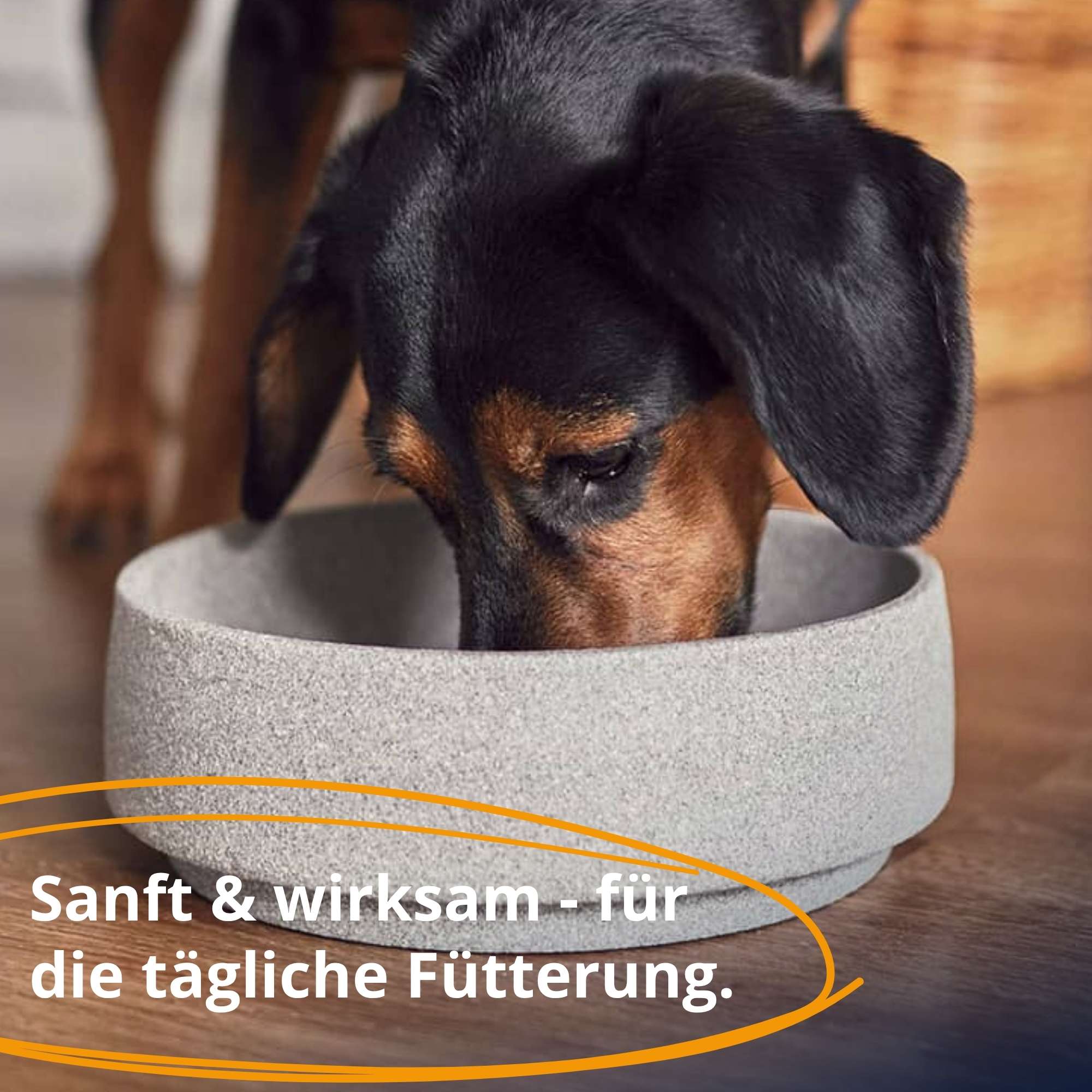 PetCare Fellwechsel-Paket - Natürliche Futterergänzung