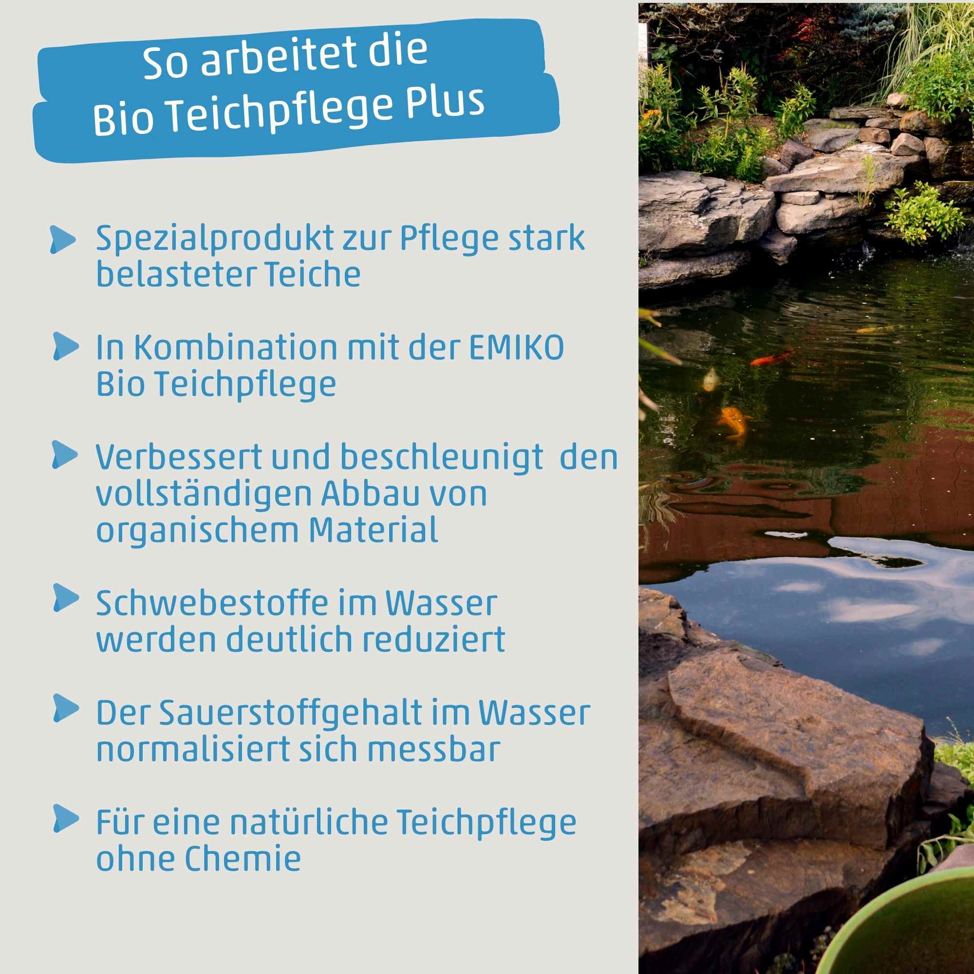 Bio Teichpflege PLUS - Spezialpflege mit Photosynthesebakterien für belastete Teiche