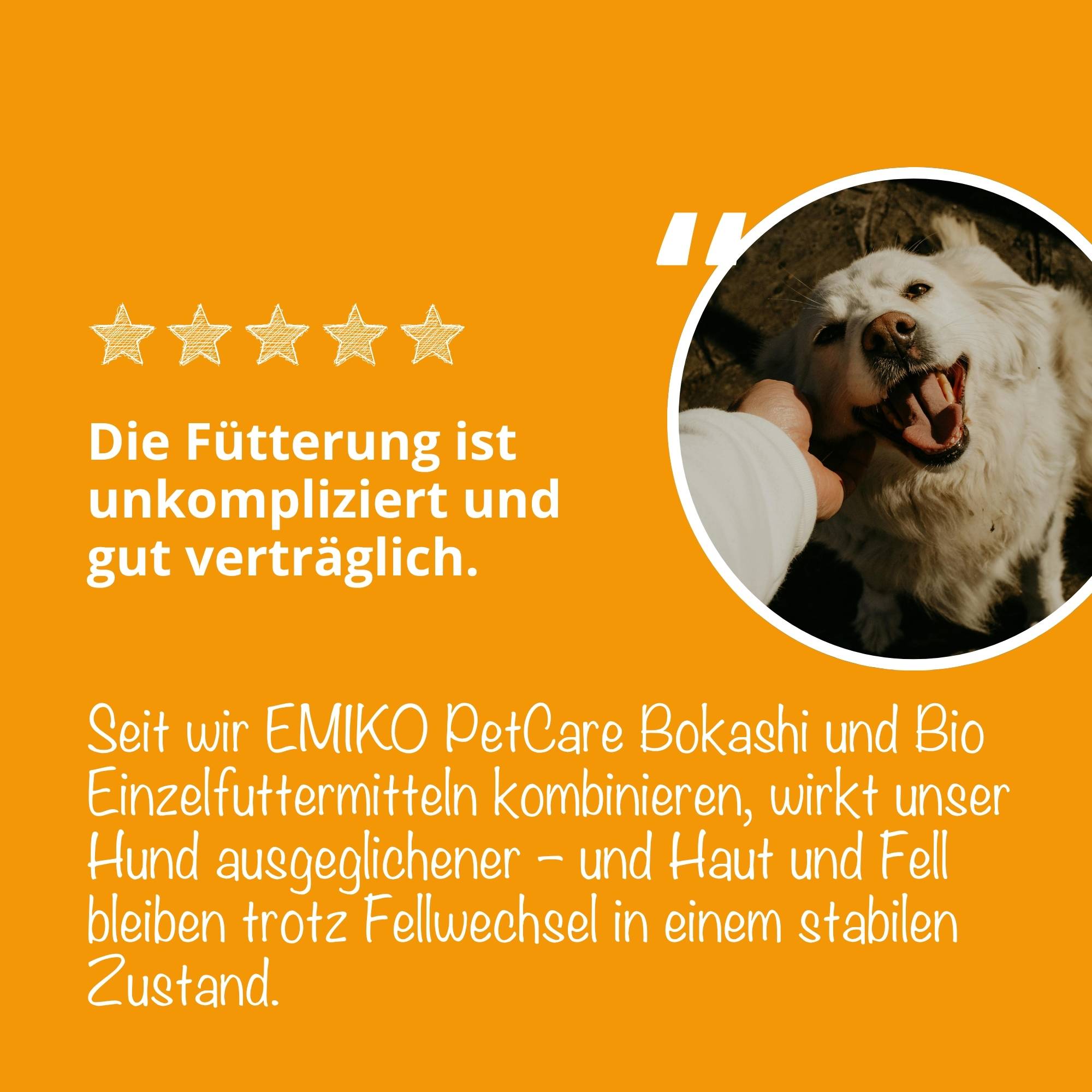PetCare Fellwechsel-Paket - Natürliche Futterergänzung