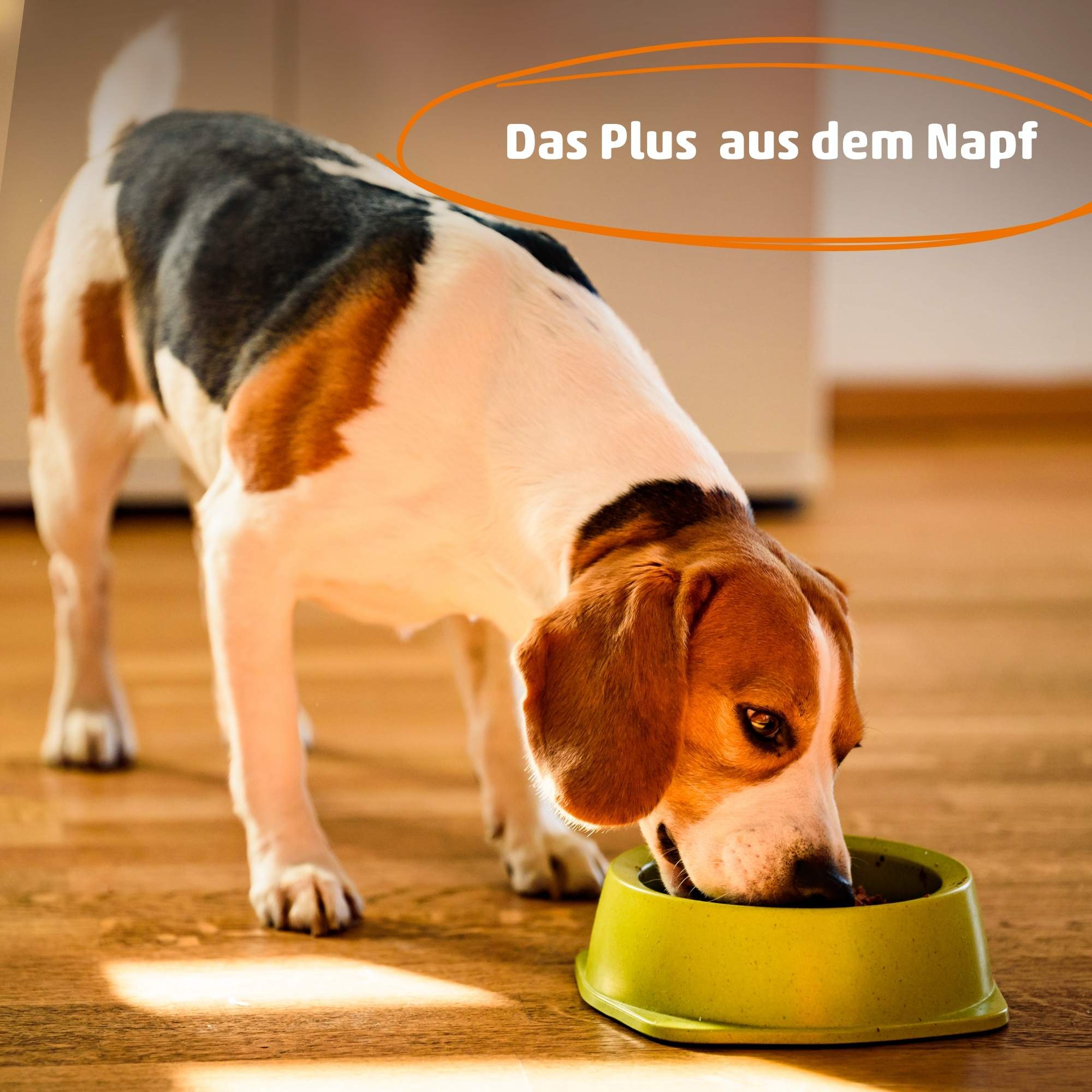 PetCare Bio Bokashi - Kräuterferment für Hunde & Katzen