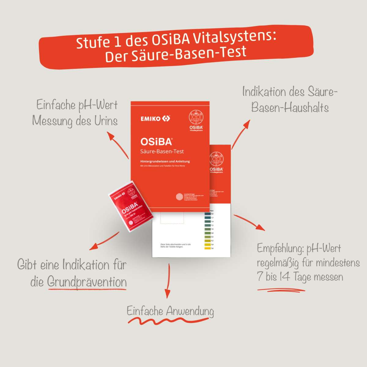 blumenerde kaktus Kakteenerde | Erde für Sukkulenten main image 0