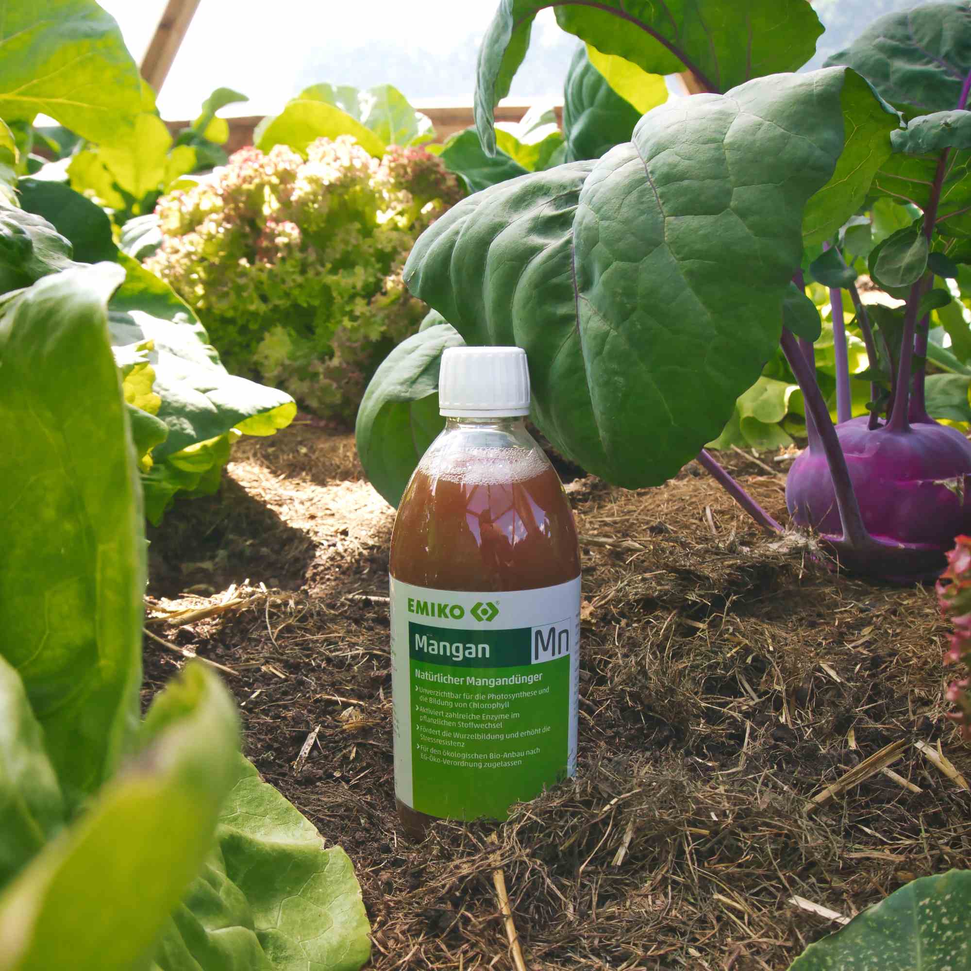 is aloe good for sunburn After Sun Aloe Vera Gel, 16 oz, QC99708 main image 0