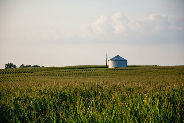 Silagen in Biogas Anlagen nutzen