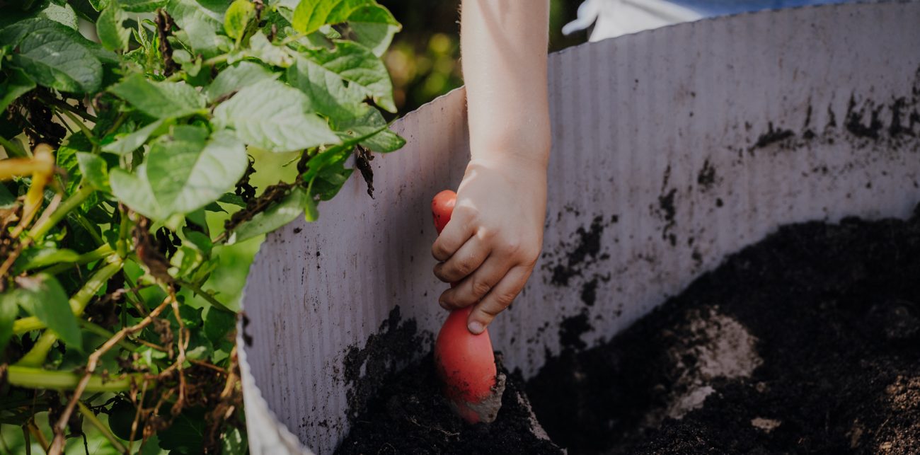 Kinderhand gräbt mit Schaufel in Blumenerde im Garten