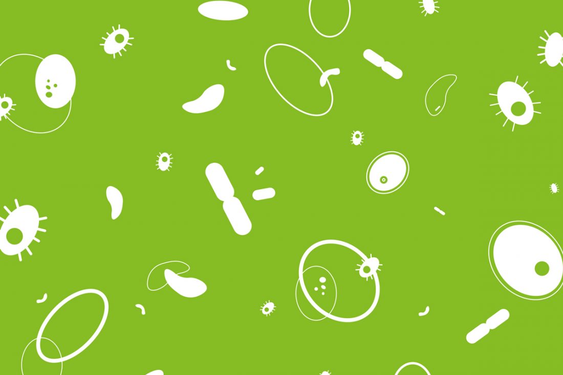 Effektive Mikroorganismen Mikroben Muster