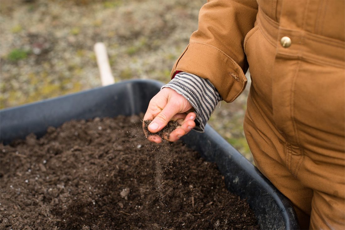 Gärtner prüft die Bodenbeschaffenheit seines Gartens mit den Händen