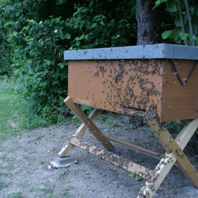 Bienenstock aus der Ferne