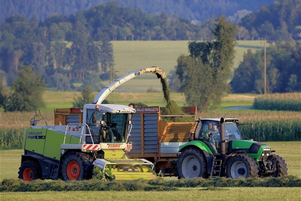 Traktor mit Grassilage auf Feld